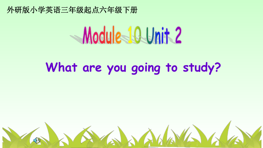Module10 Unit2 What are you going to study？ 课件(共22张PPT)