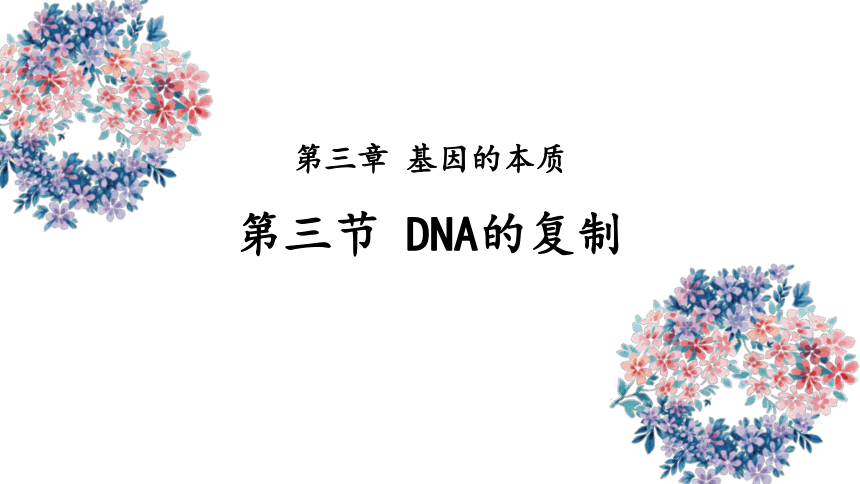 3.3 DNA的复制 课件  2022——2023学年高一下学期生物人教版必修2(共49张PPT)