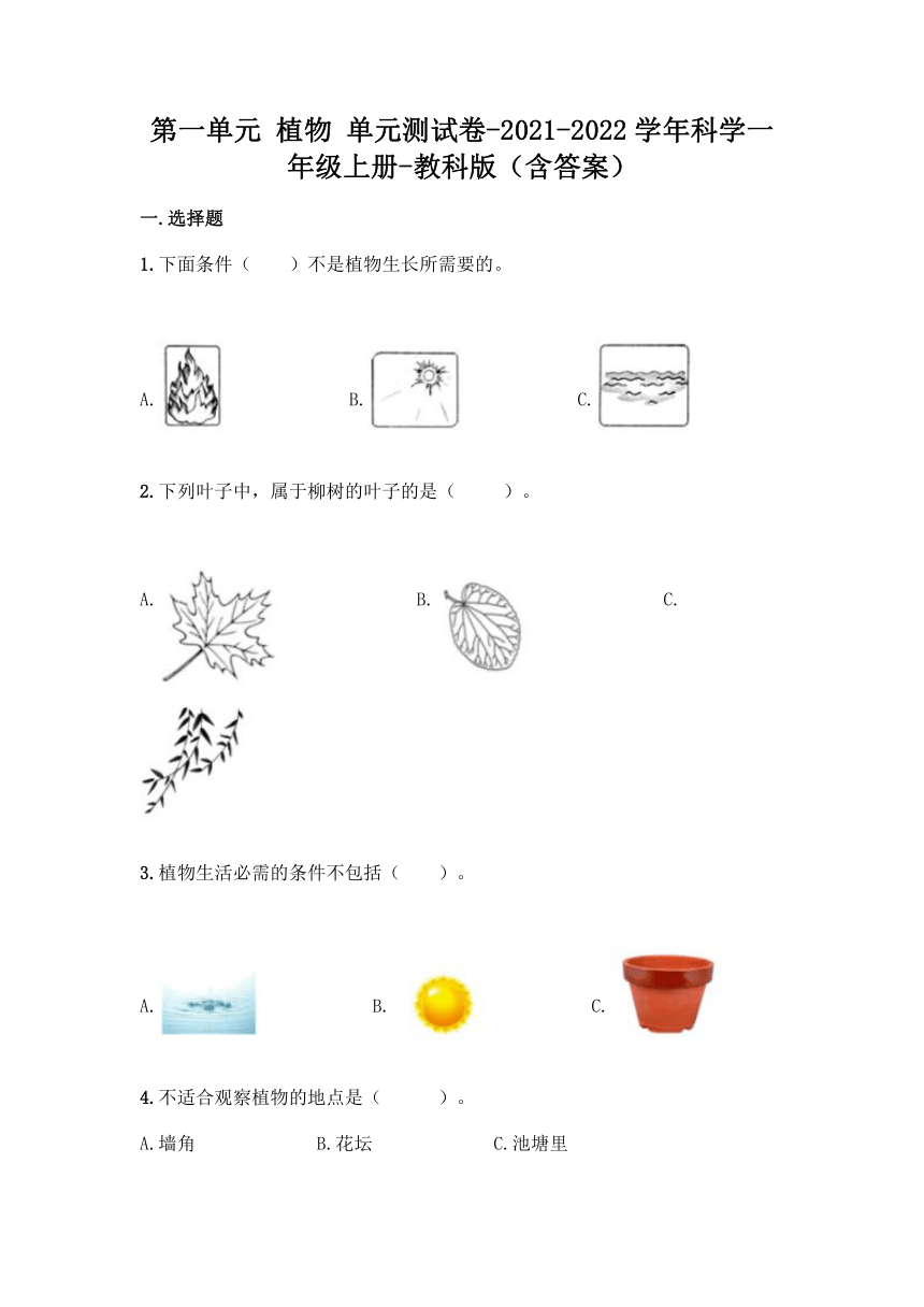 教科版（2017秋）2021-2022学年科学一年级上册第一单元 植物 单元测试卷（含答案）