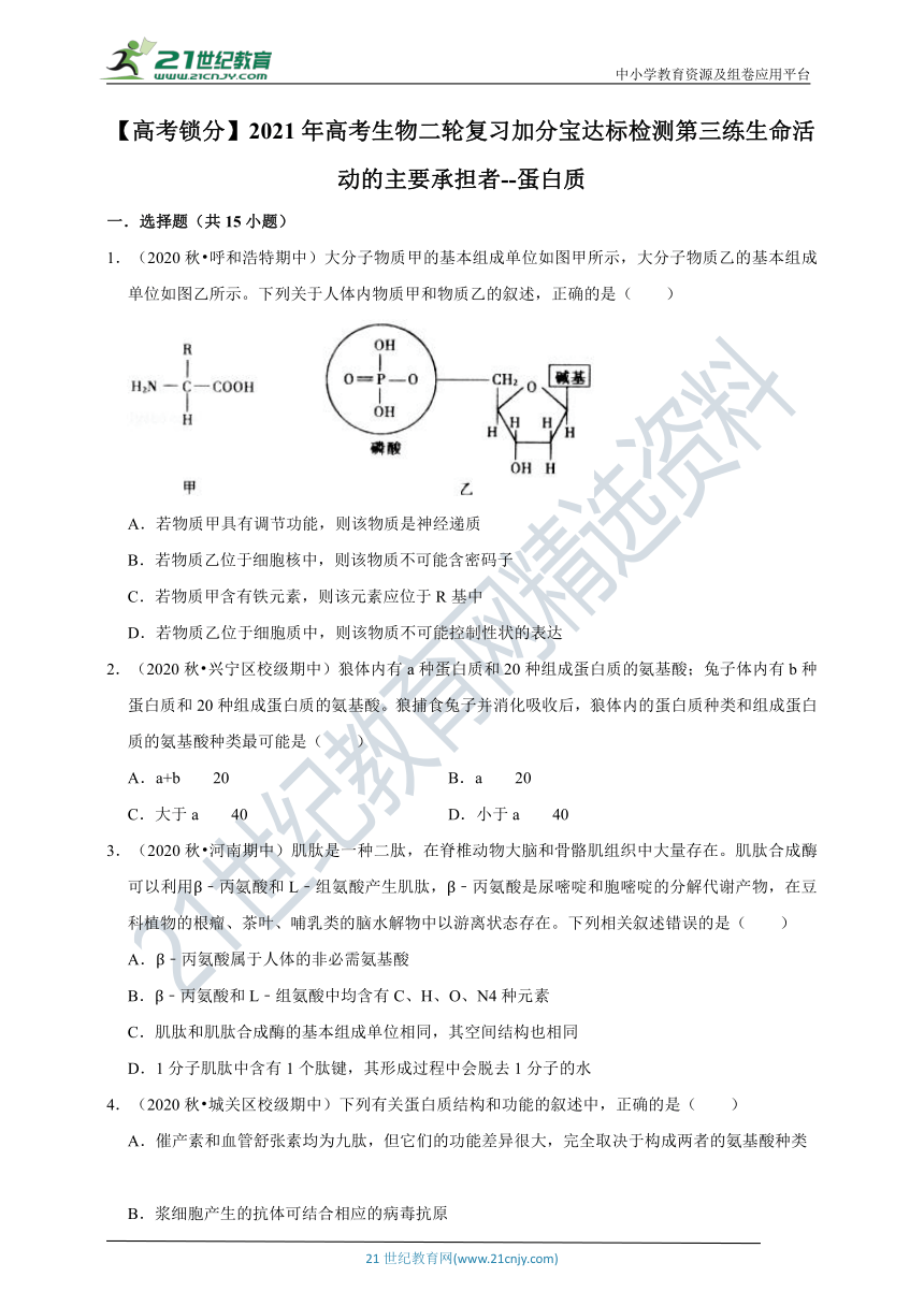 【高考锁分】2021年高考生物二轮复习加分宝达标检测第三练 生命活动的主要承担者--蛋白质（含解析）