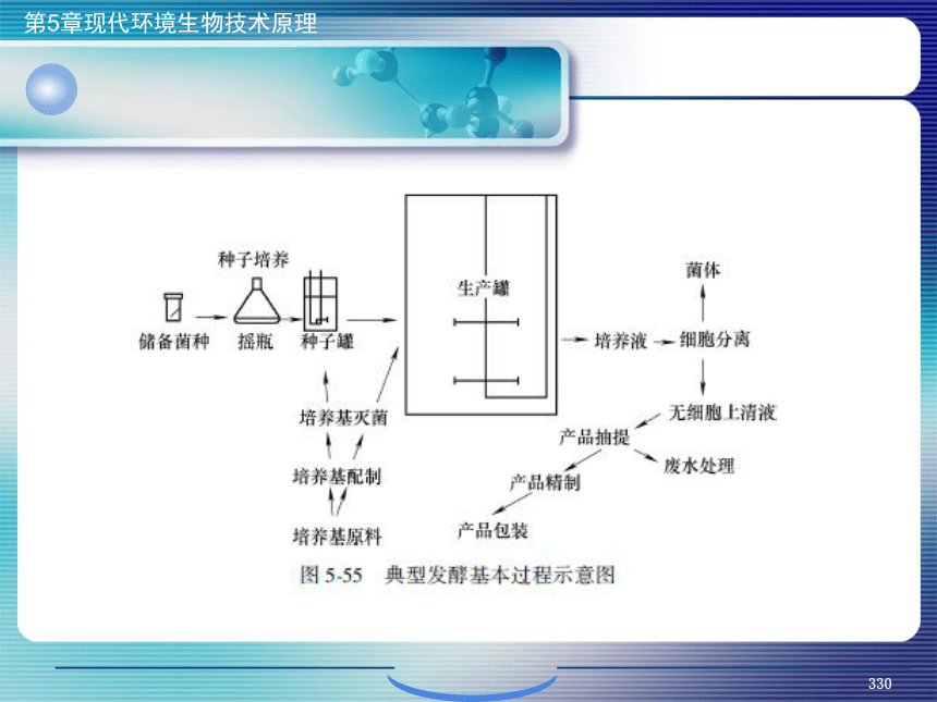 5.现代环境生物技术原理_12 课件(共41张PPT）- 《环境生物化学》同步教学（机工版·2020）