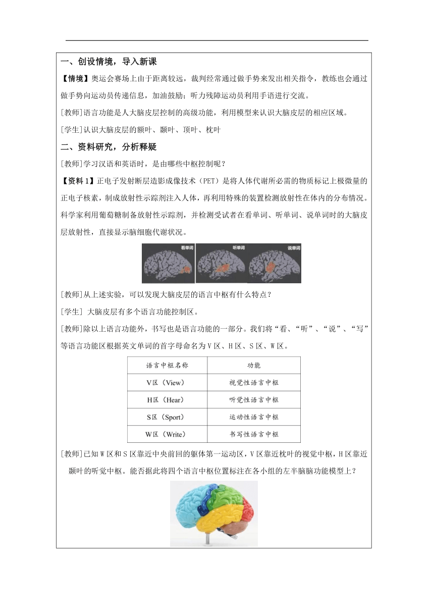 2.5 人脑的高级功能教学设计（表格版）-2023-2024学年高二上学期生物人教版（2019）选择性必修1