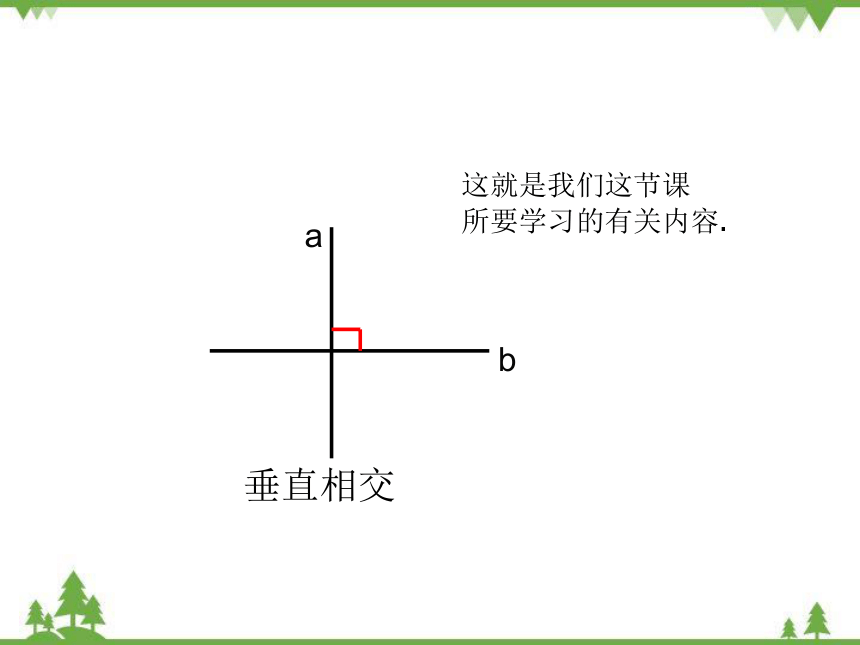 北师大版数学七年级下册 2.1.2 垂直课件(共25张PPT)