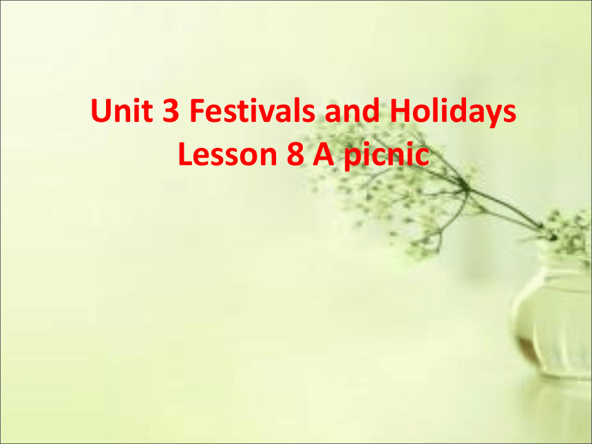 北师大版英语八年级下册 Unit 3 Lesson 8 A Picnic 课件（21张PPT）