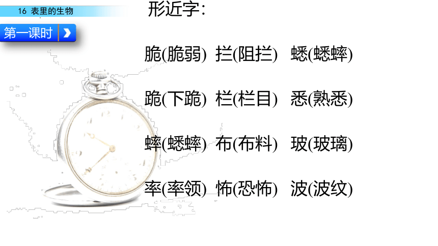 16 表里的生物课件(共23张PPT)