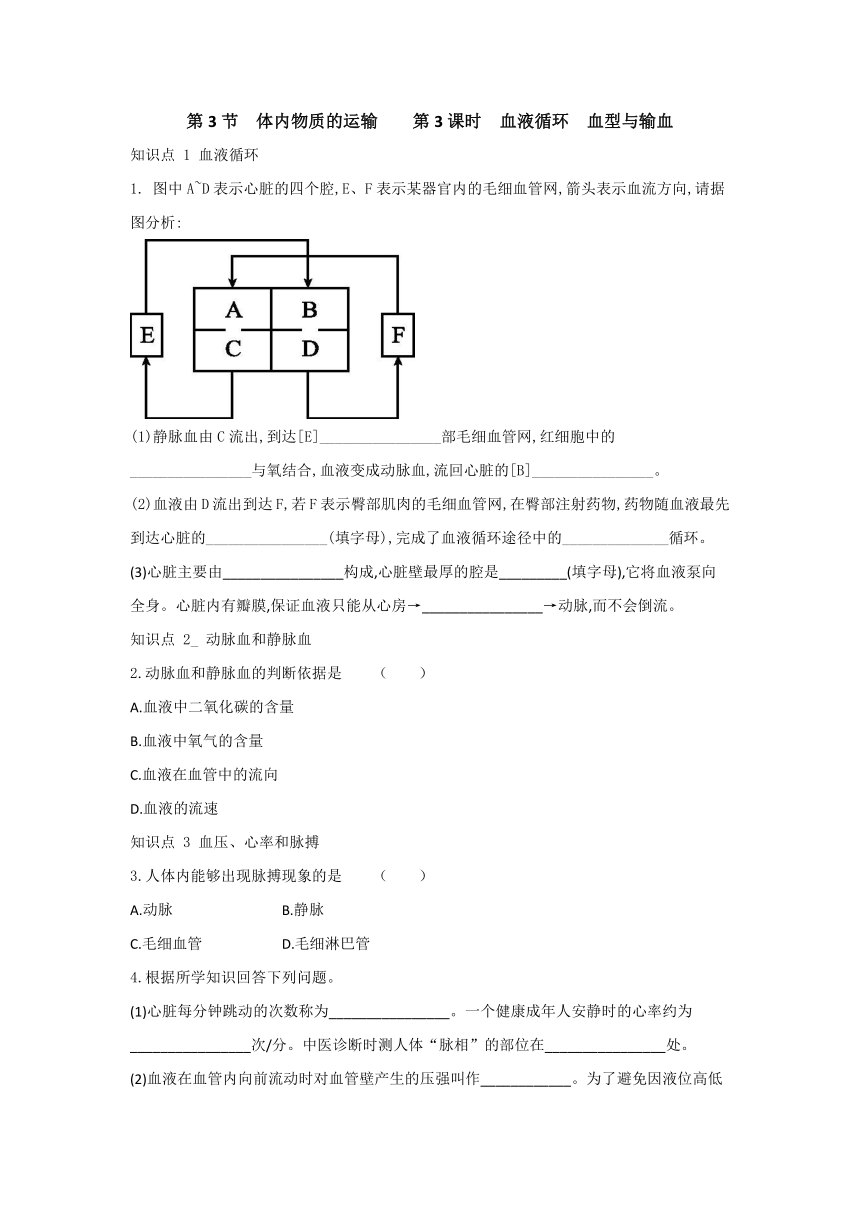 浙教版科学九年级上册同步课时练习：4.3 体内物质的运输 第3课时（含答案）