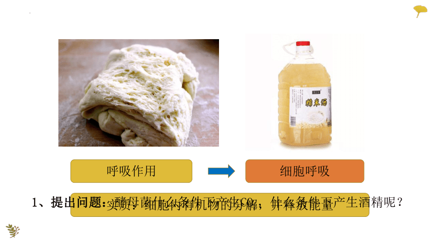 2022-2023学年高一上学期生物人教版（2019）必修1-5.3.1细胞呼吸的原理与应用课件（26张ppt）