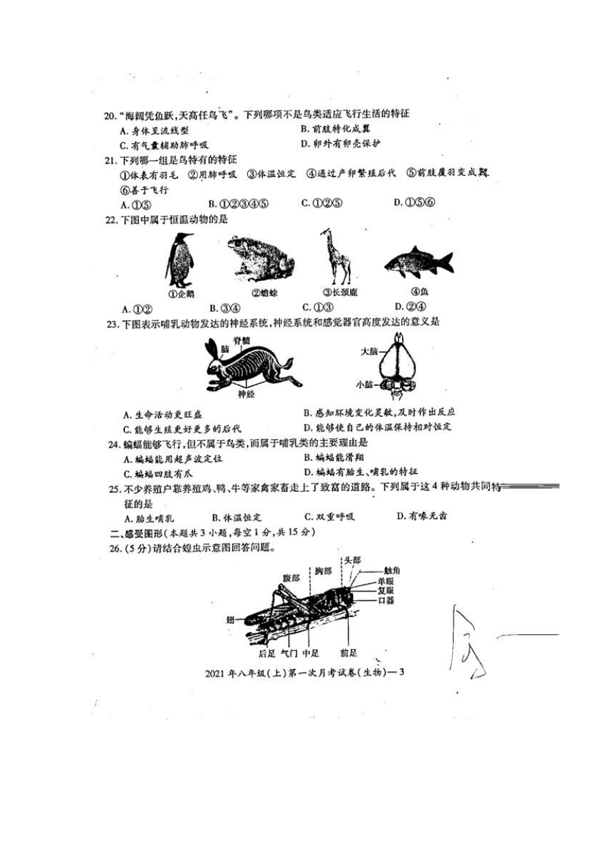 湖南省绥宁县民族中学2021-2022学年八年级上学期第一次月考生物试题（扫描版含答案）