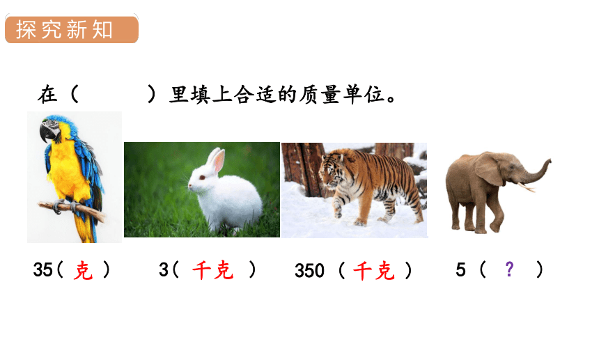 人教版三年级数学上册3.3吨的认识课件（18张PPT)