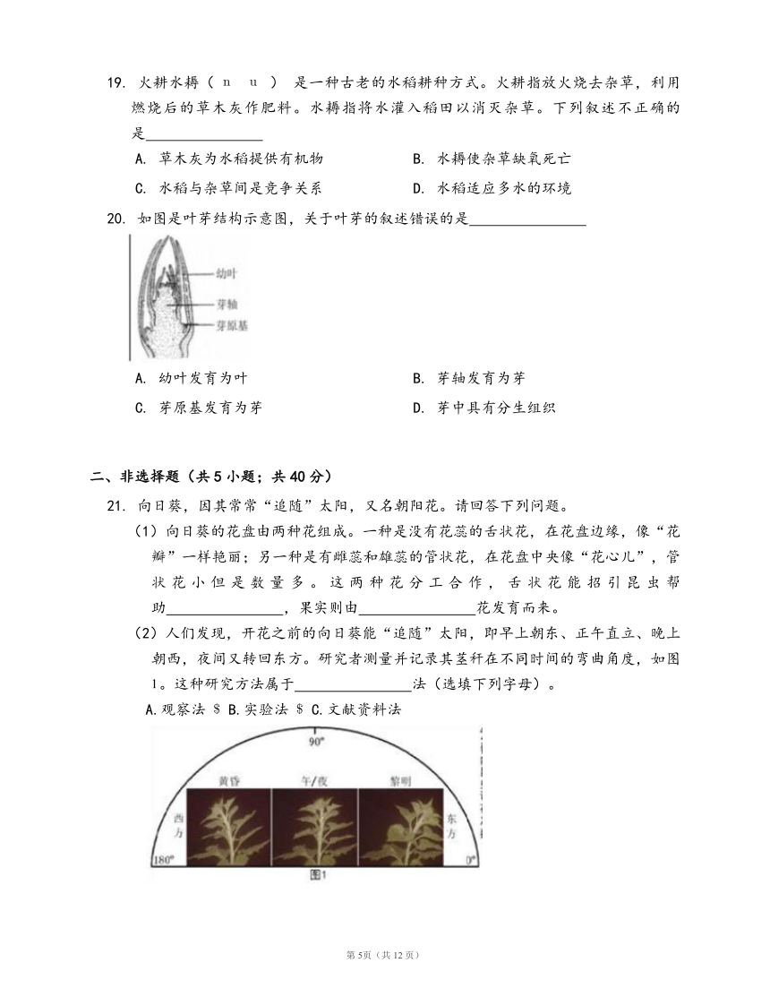 人教版生物七年级上册第三单元第二章 被子植物的一生（word版含部分答案解析）