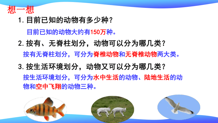 10.1 水中的动物（第1课时）课件七年级生物下册（苏科版）（共31张PPT）