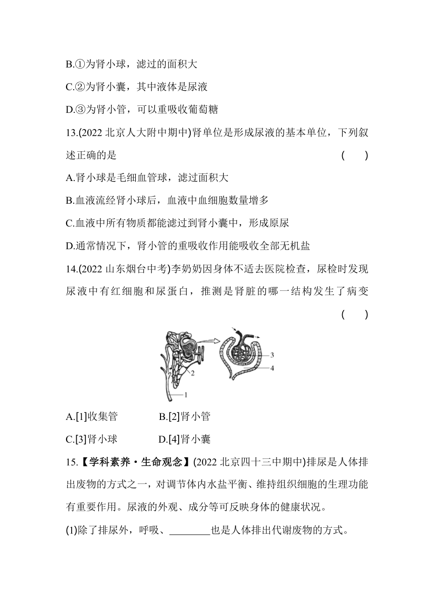 7.2 尿液的形成和排出 同步练习（含解析）北京课改版生物七年级下册