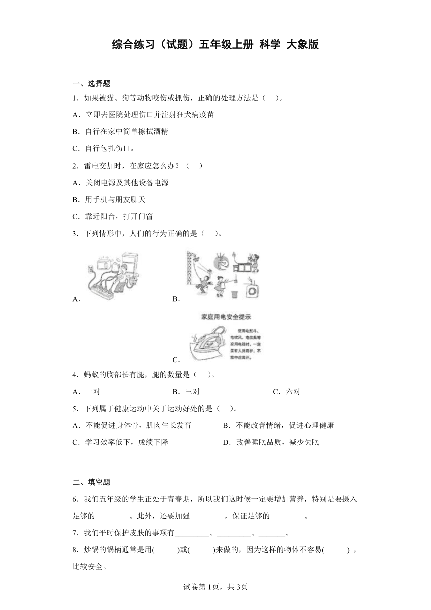 大象版（2017秋）五年级上册综合练习（含答案）