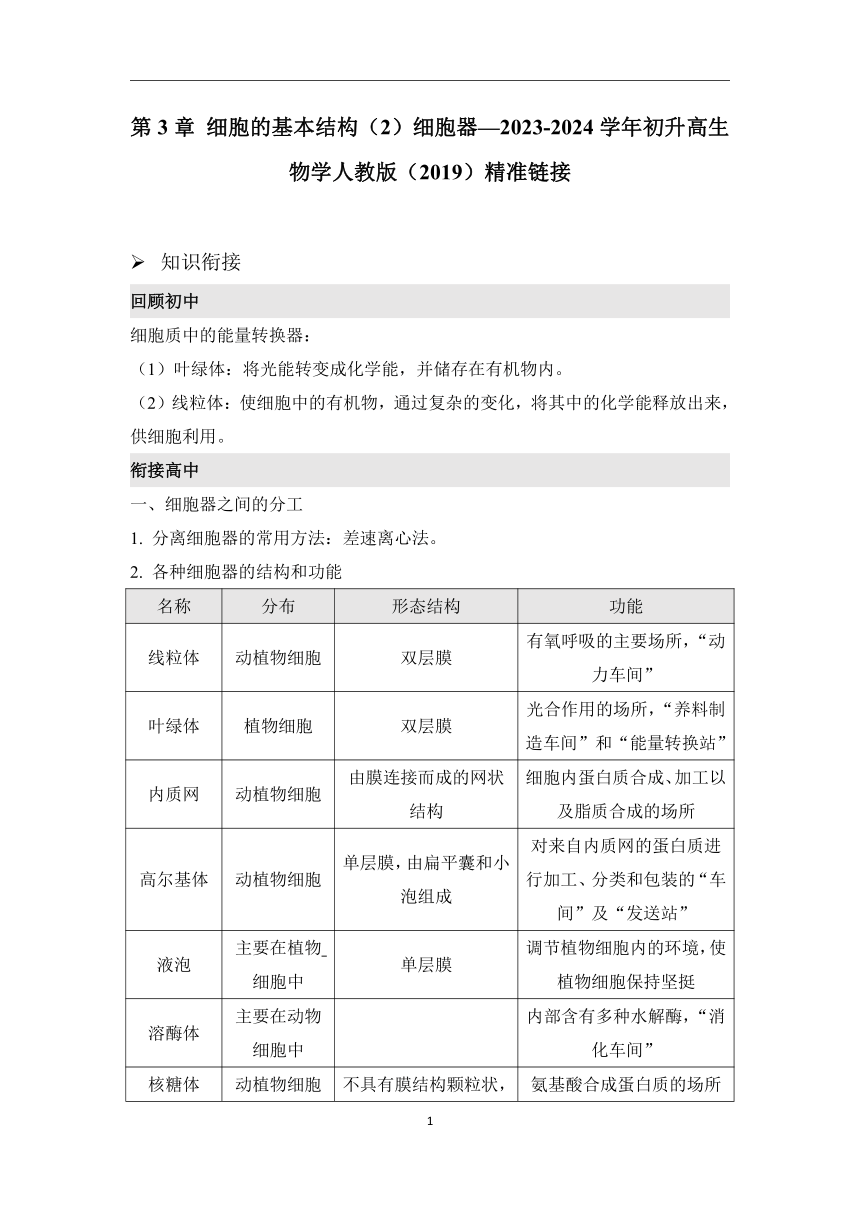 第3章细胞的基本结构（2）细胞器学案（含解析）—2023-2024学年初升高生物学人教版（2019）精准链接