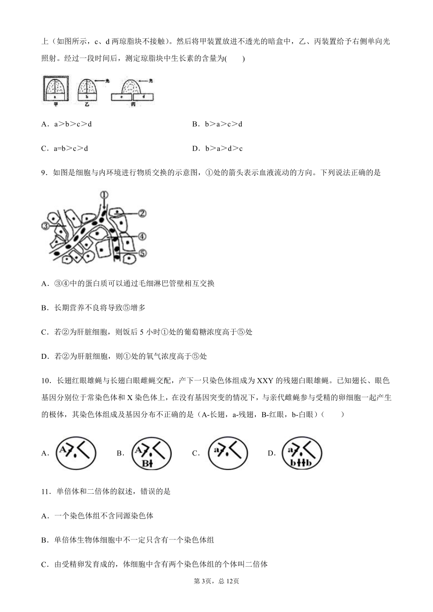 河南省驻马店市新蔡县2020-2021学年高一下学期6月月考生物试题        含答案