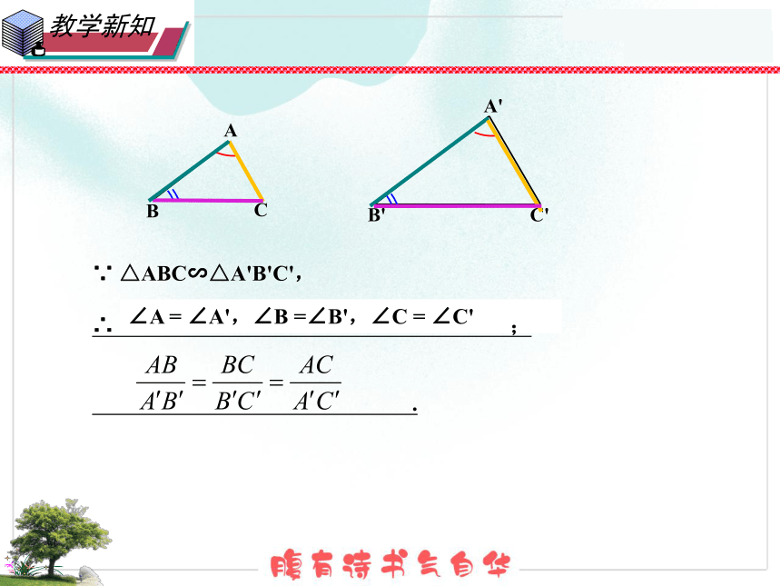 2021-2022学年华东师大版九年级数学上册23.3.1相似三角形课件(共17张PPT)