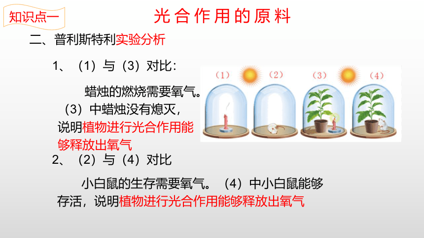 2022-2023学年七年级生物上学期3.5.1 光合作用吸收二氧化碳释放氧气-同步优质课件(共22张PPT)