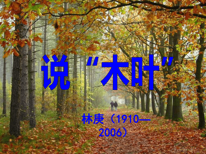 【新教材】9《说木叶》 课件-2020-2021学年高一语文部编版（2019）必修下册24张PPT