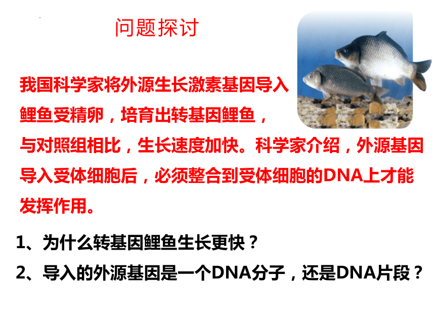 2021-2022学年高一下学期生物人教版必修2-3.4基因通常是有遗传效应的DNA片段课件(共23张PPT)