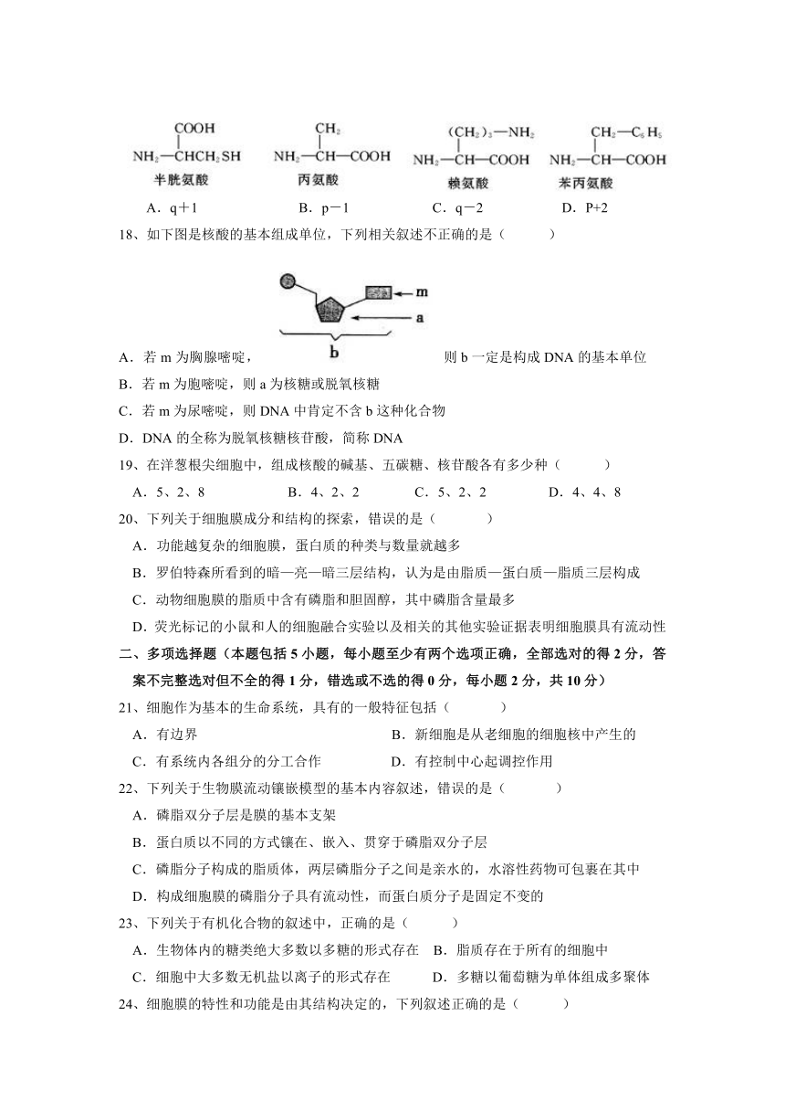 安徽省宿州市十三所重点中学2021-2022学年高一上学期期中考试生物试题（Word版含答案）