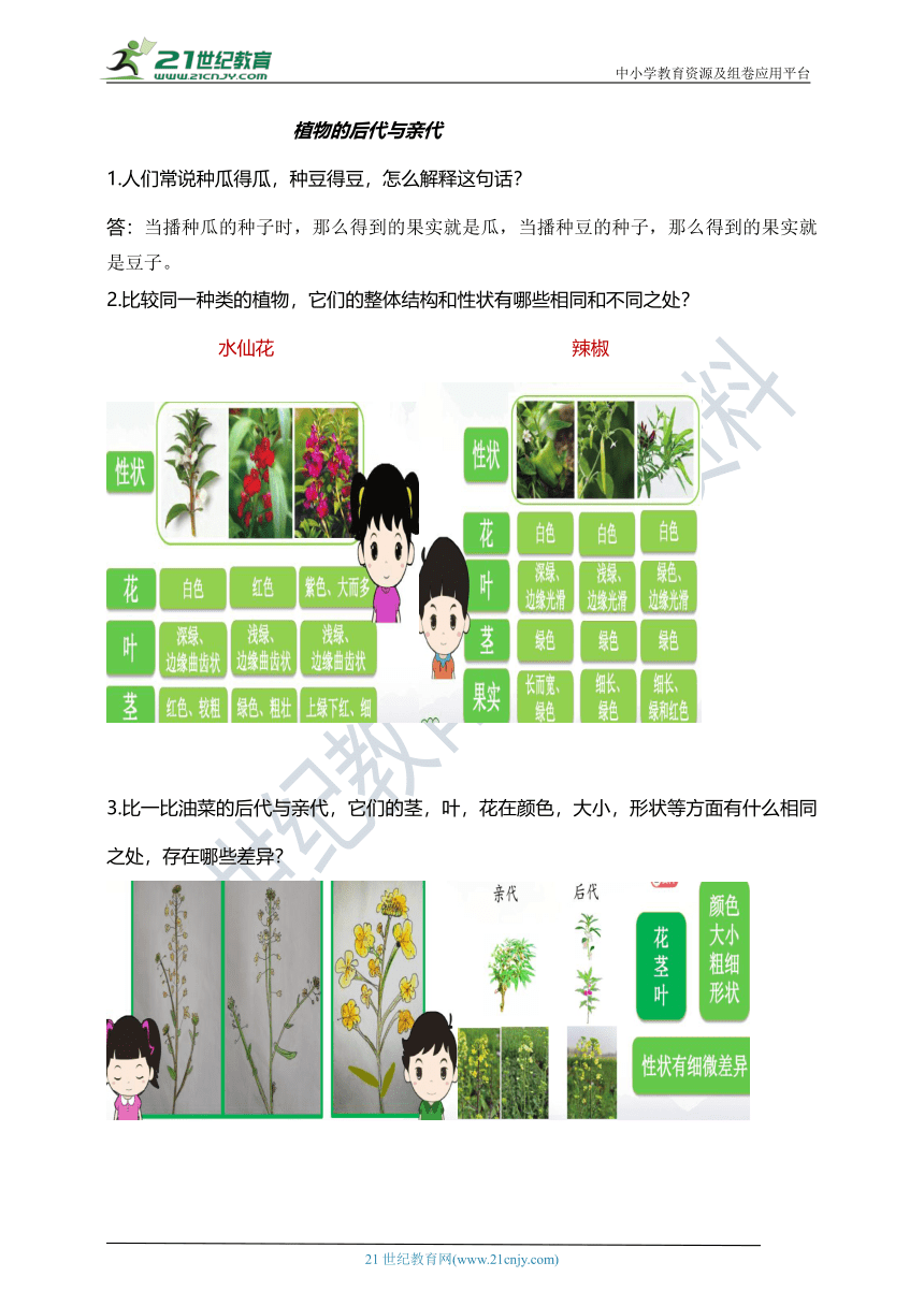 五上科学第六课《植物的后代与亲代》知识梳理