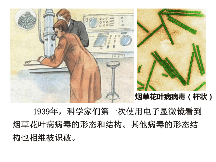 5.5病毒课件(共46张PPT+内嵌视频1个)2023-2024学年人教版生物八年级上册