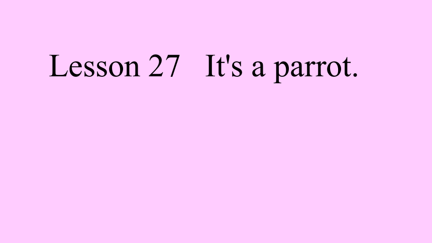 Unit 5 It's a parrot.Lesson 27 课件(共8张PPT)