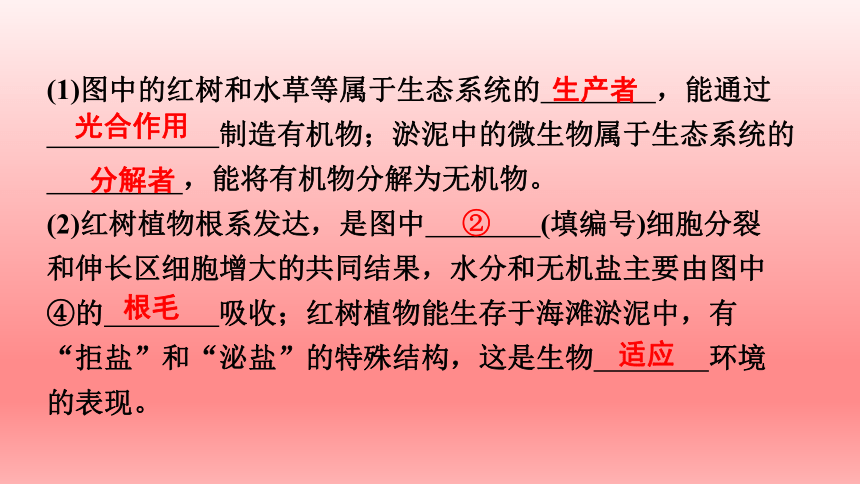 2023年人教版七年级生物上册复习课件 (共22张PPT)读图理解