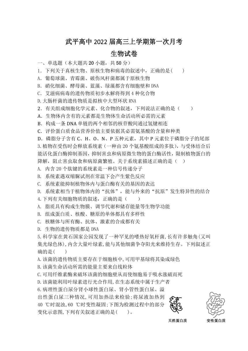 福建省武平县高中2022届高三上学期第一次月考生物试题 （Word版含答案）