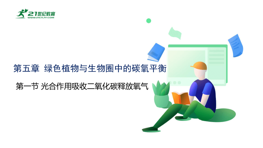 人教版七年级生物上册3.5.1 光合作用吸收二氧化碳释放氧气同步课件(共16张PPT)