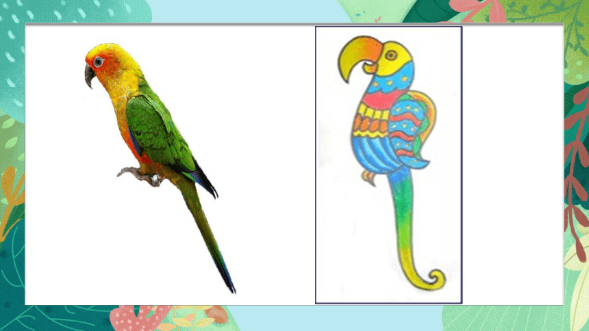 苏少版四年级美术下册 第8课　鸟的纹样 课件 (共16张PPT)