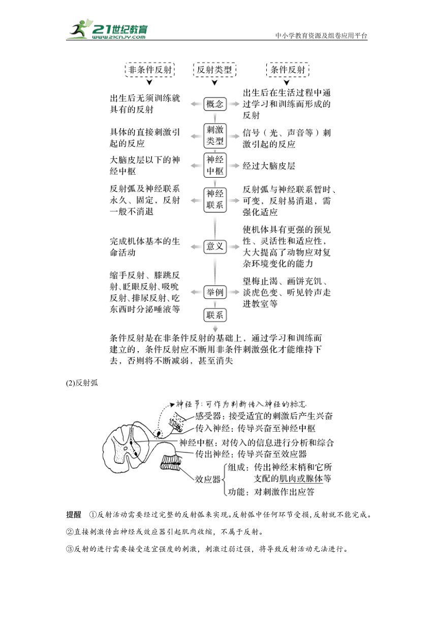 新高考生物一轮考点梳理&分层训练：第8单元 稳态与调节 第23讲　神经调节（含答案）