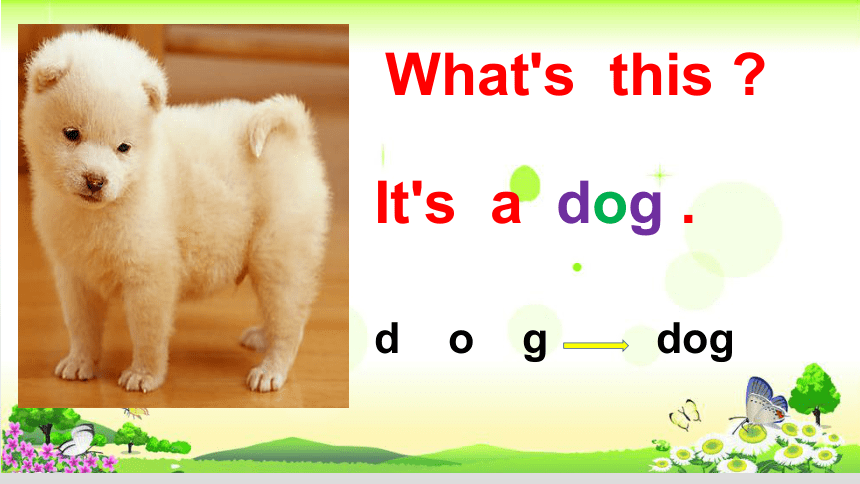 Unit 1  Animals on the farm-Lesson 2 Cats and Dogs课件（15张PPT）