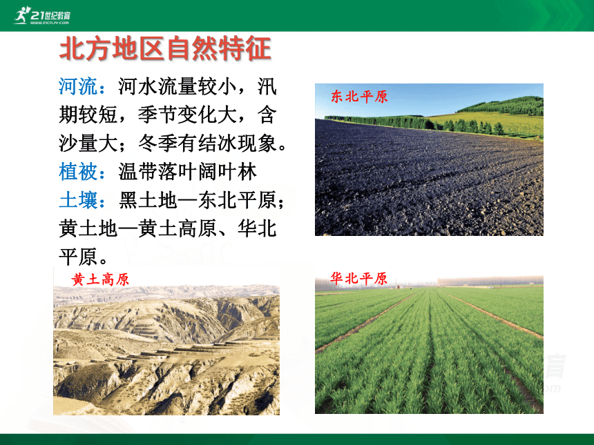 第六章 第一节 北方地区自然特征与农业课件(共16张PPT)