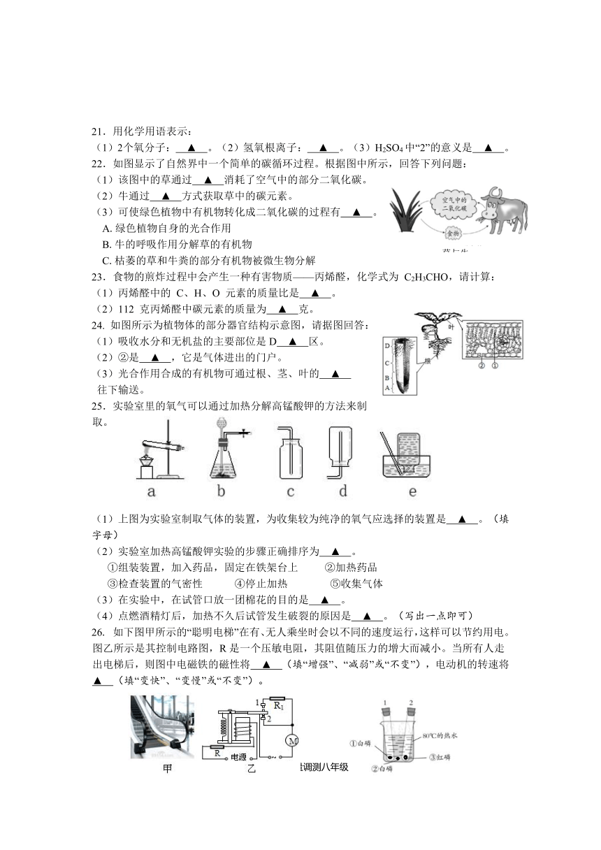 浙江省绍兴市上虞区2020-2021学年八年级下学期期末考试科学试题（word版，含答案）