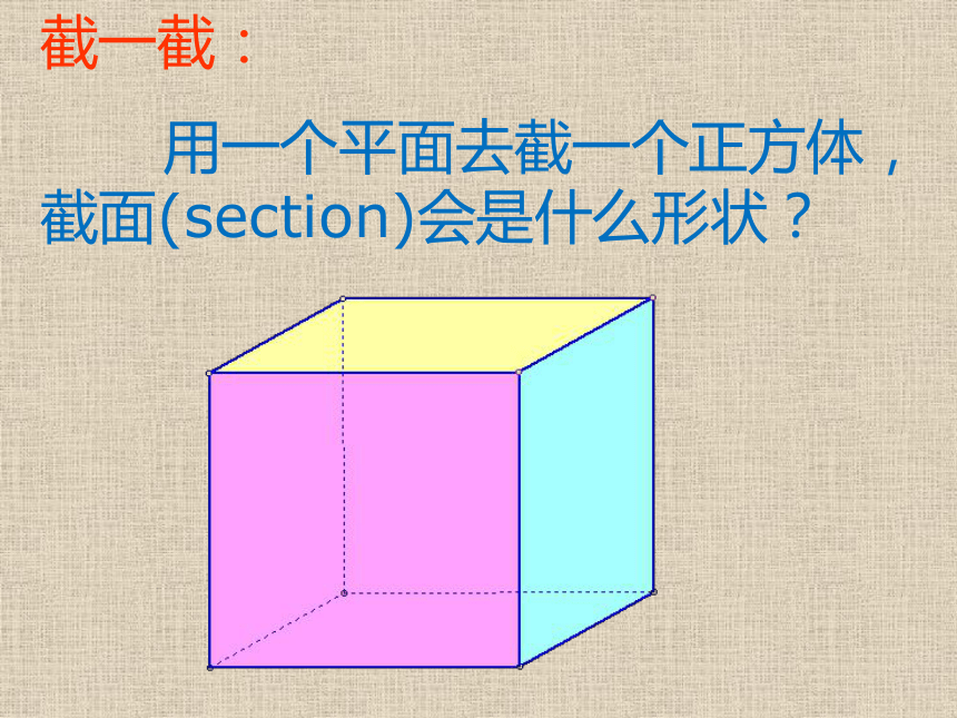 2021-2022学年北师大版数学七年级上册1.3截一个几何体  课件（共42张PPT）