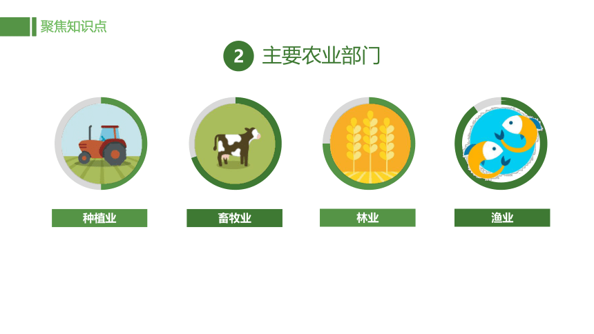 初中地理八上知识点课件 130 农业及其重要性-中国的农业