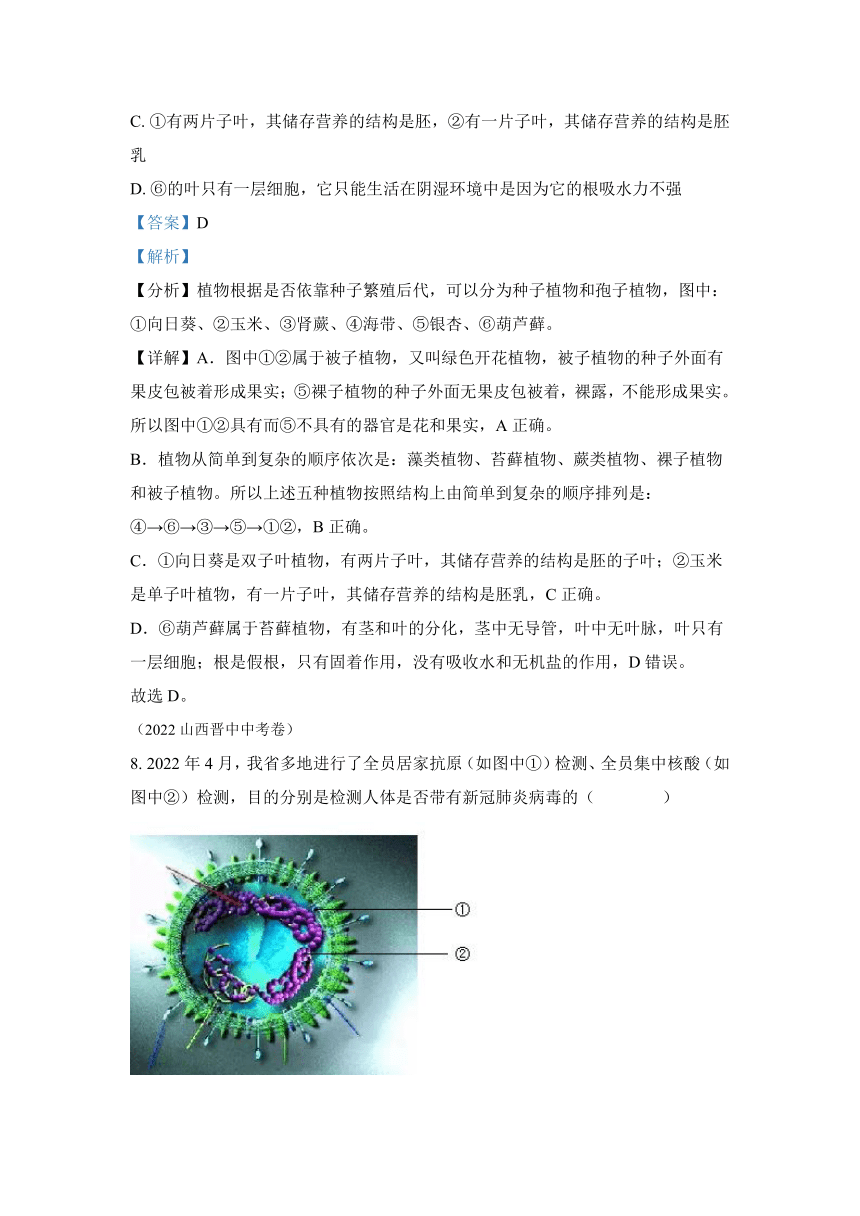 专题09 植物、动物、微生物类群-2022年中考生物真题（全国通用）（试题与答案未分开）