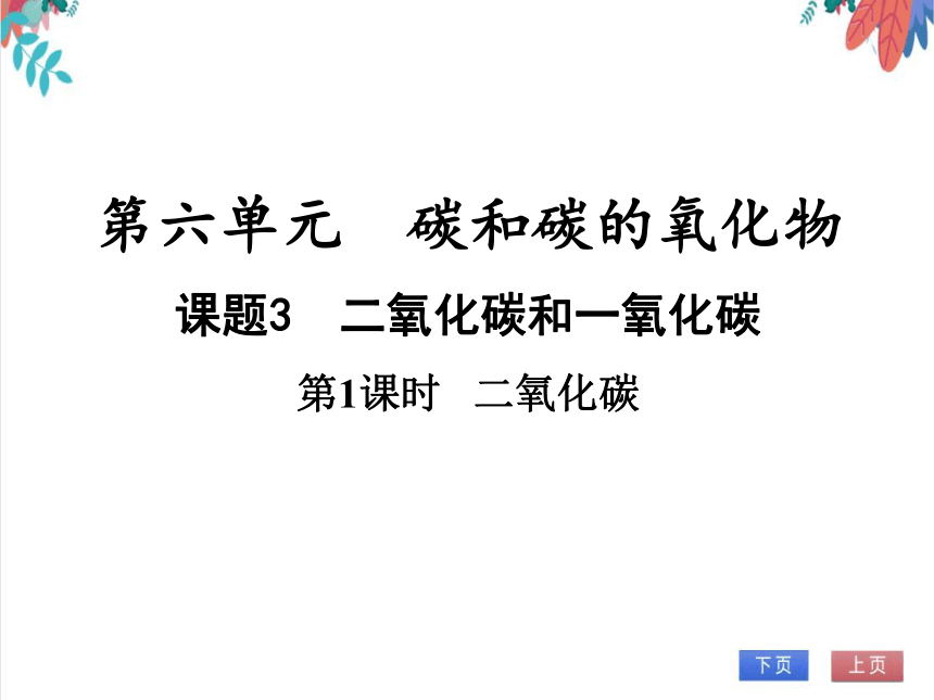 【人教版】化学九年级全一册 6.3.1 二氧化碳 习题课件