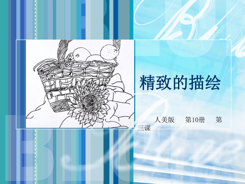 人美版（北京）  五年级上册美术课件 第3课 细致的描绘（31张PPT）