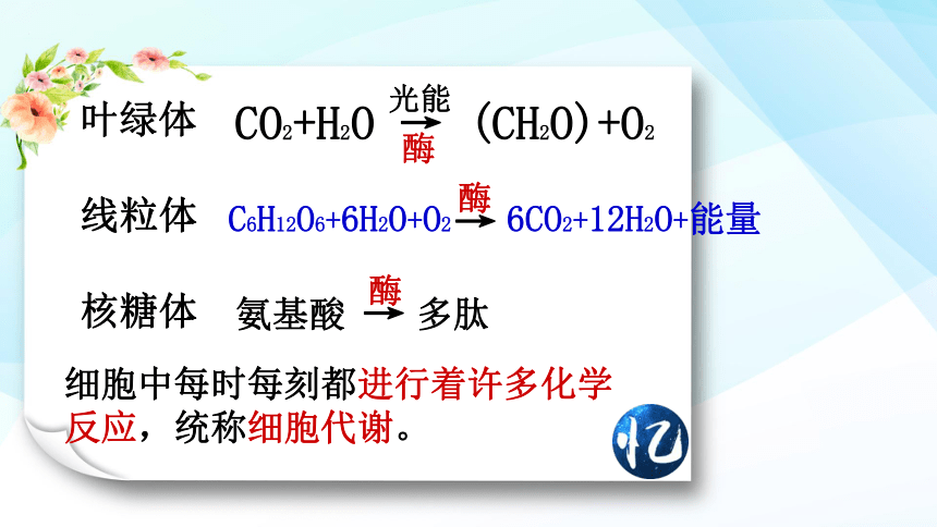 高中生物人教版（2019）必修1第5章  第1节 降低化学反应活化能的酶 课件( 47张PPT)