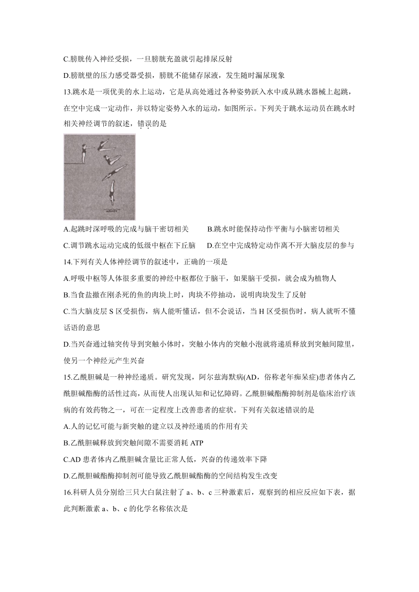 辽宁省辽东南协作体2021-2022学年高二上学期第一次月考（10月）生物试题（Word版含答案）