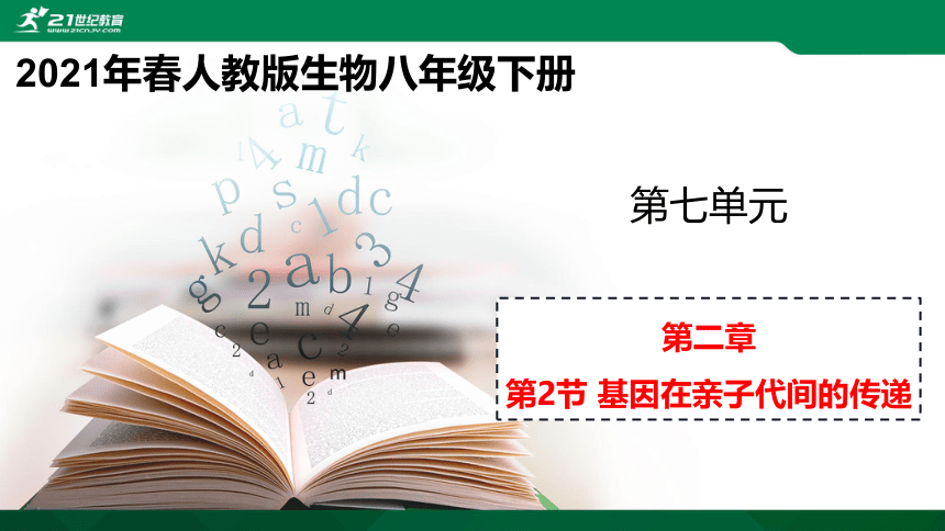 7.2.2 基因在亲子代间的传递课件（共27张PPT）