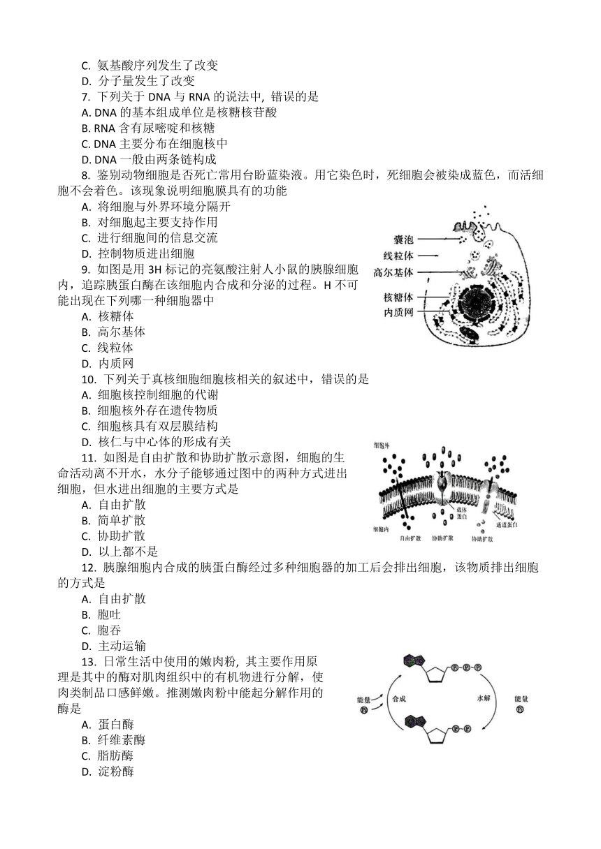 2023年湖北省普通高中学业水平合格性考试模拟（三）生物学试题（5月）（Word版含答案）