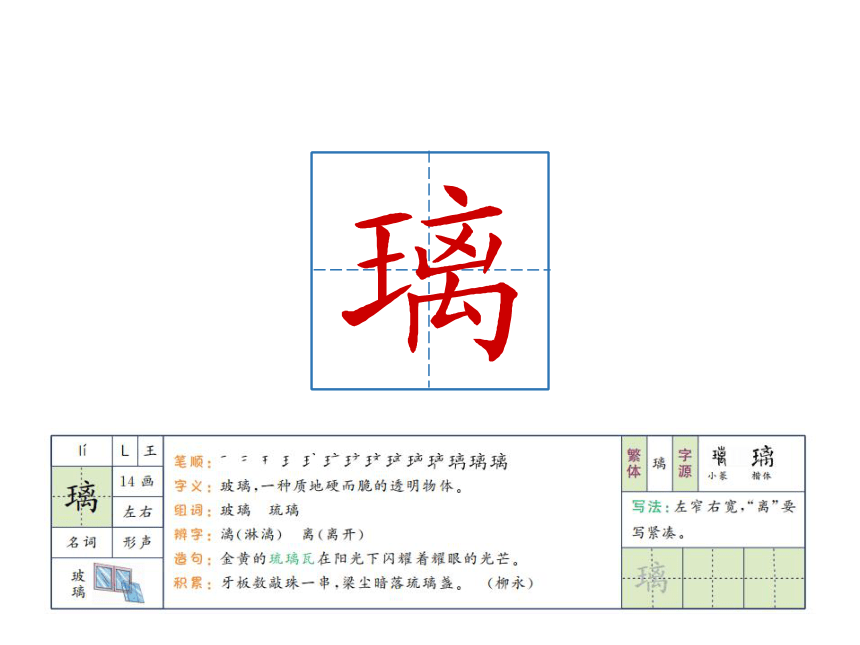 16 表里的生物 课件（共32张PPT）