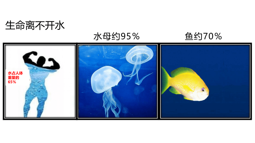 粤教版化学九年级上册同步课件：4.1  我们的水资源第 1 课 时 水资源及其污染与防治(共26张PPT内嵌视频)