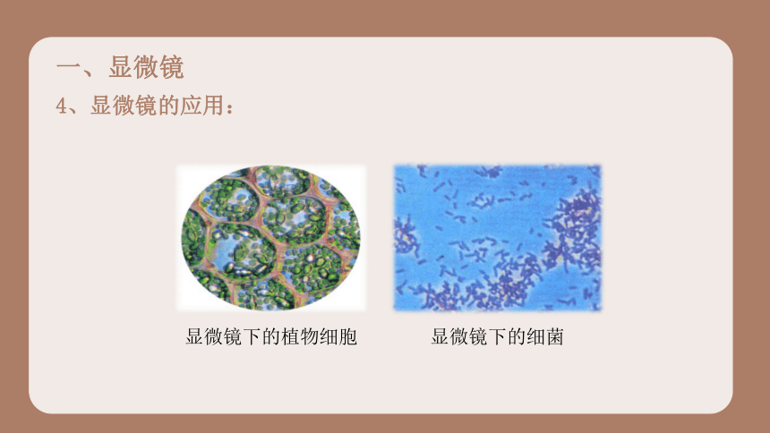 5.5 显微镜和望远镜课件 2022-2023学年人教版物理八年级上册(共24张PPT)