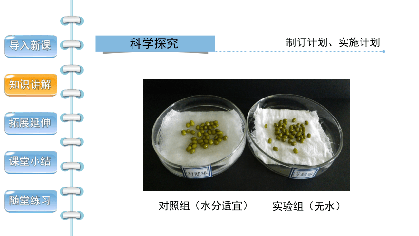 3.2.1 种子的萌发 （第1课时） 课件(共30张PPT)2022--2023学年人教版生物七年级上册