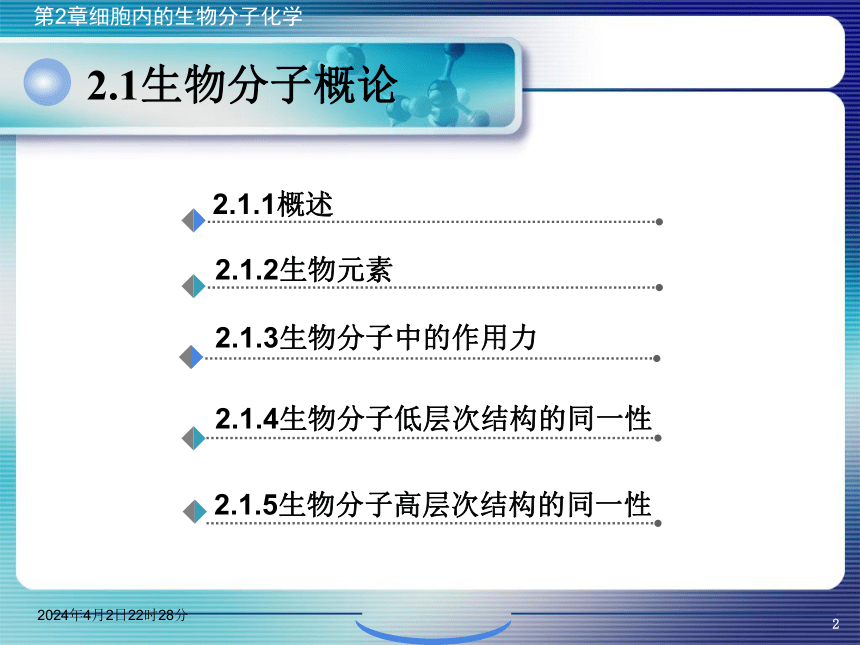 2.1生物分子概论 课件(共42张PPT)- 《环境生物化学》同步教学（机工版·2020）