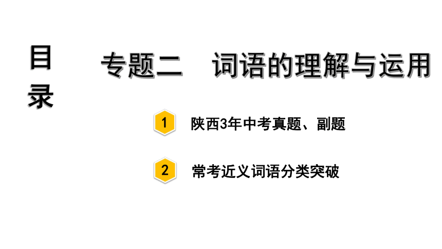 2021-2022陕西中考语文复习课件 2.专题二    词语的理解与运用  （76张ppt）